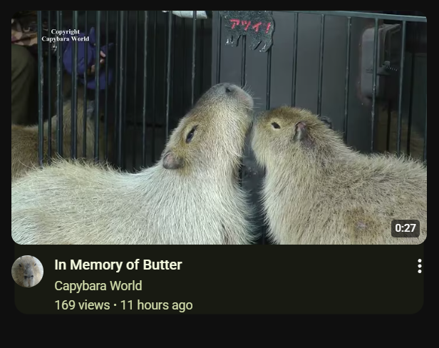 is my yt recommended trying to tell me smtg