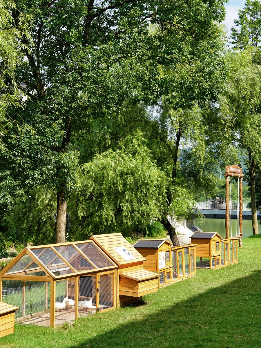 Nini Gjorgjievski tweet media