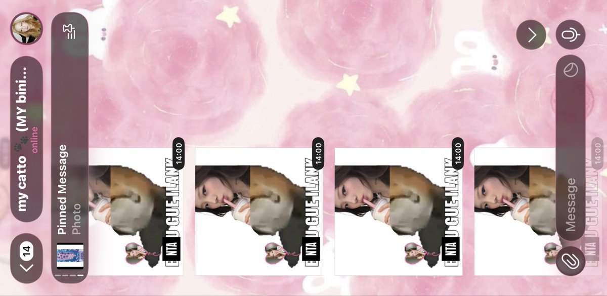 catto’s ntaa tweet media