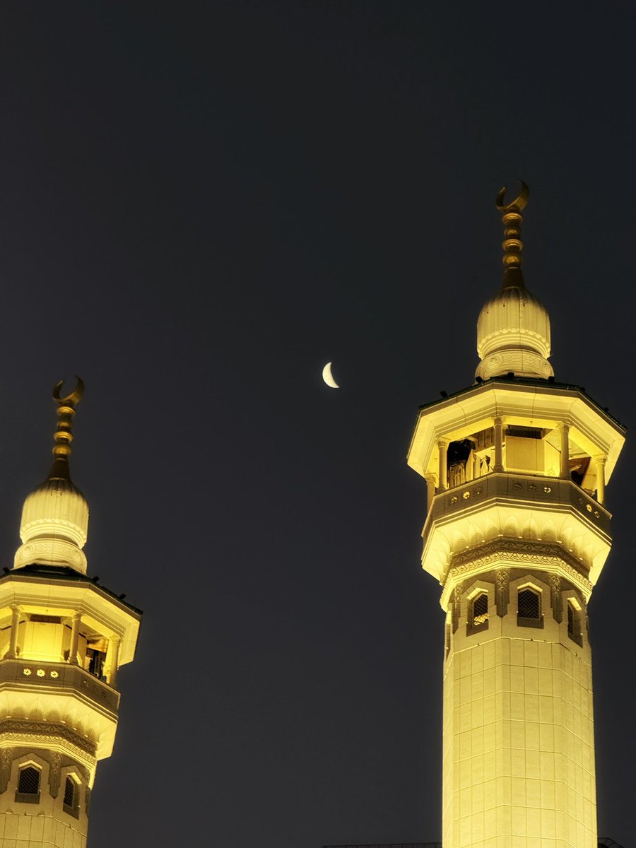 mountعlover tweet media