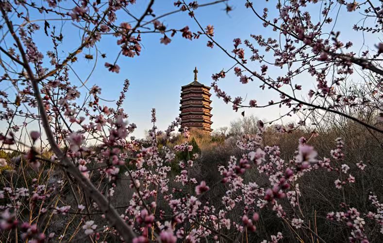 uni explorer tweet media