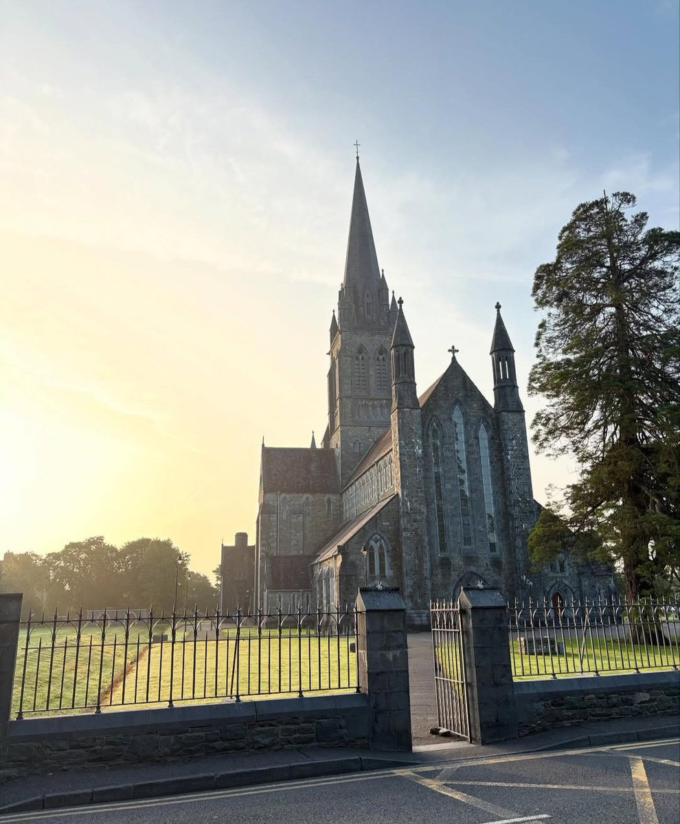 AWNPugin tweet media