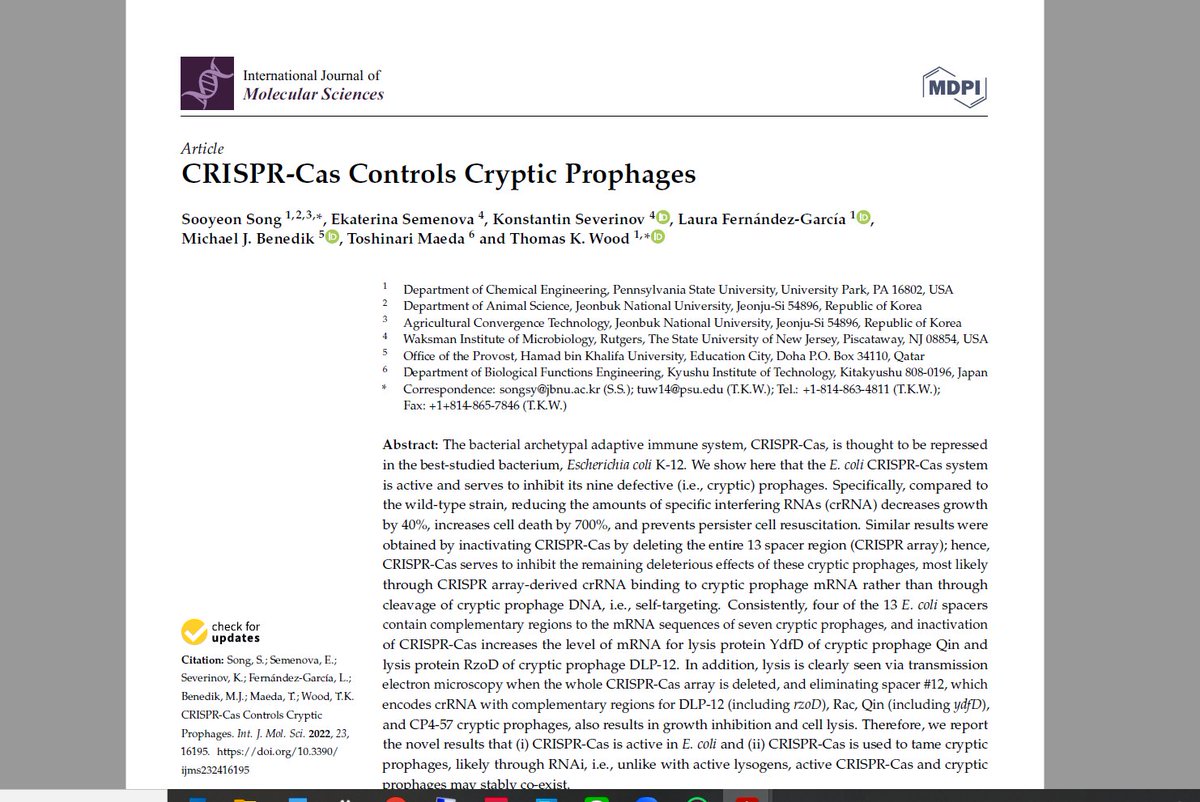 Cryptic Prophage (phage 🧬🪤 in 🦠) tweet media