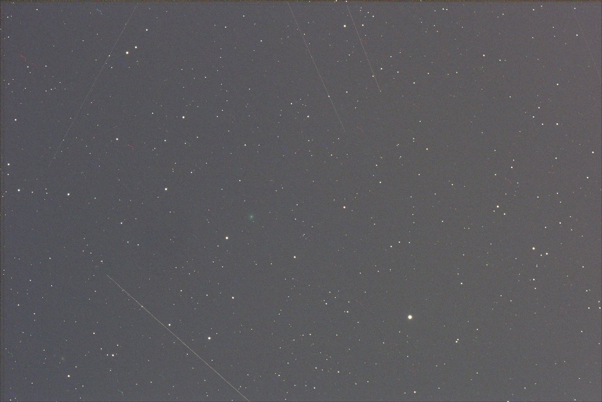 SatPhoto's tweet photo. 昨日三重県で撮影したMAPS彗星(C/2026 A1)(のつもり)です。グラビティさんでお借りした望遠鏡SkyRover86MAを初めて使うターゲットが彗星という、普通やめとけ、と思いますが、プレートソルブも機能しない中、適当にフレーミングしたらなんとか写りました。#COMET #C/2026A1 #MAPS #SkyRover #86MA https://t.co/a7TADF5mSi