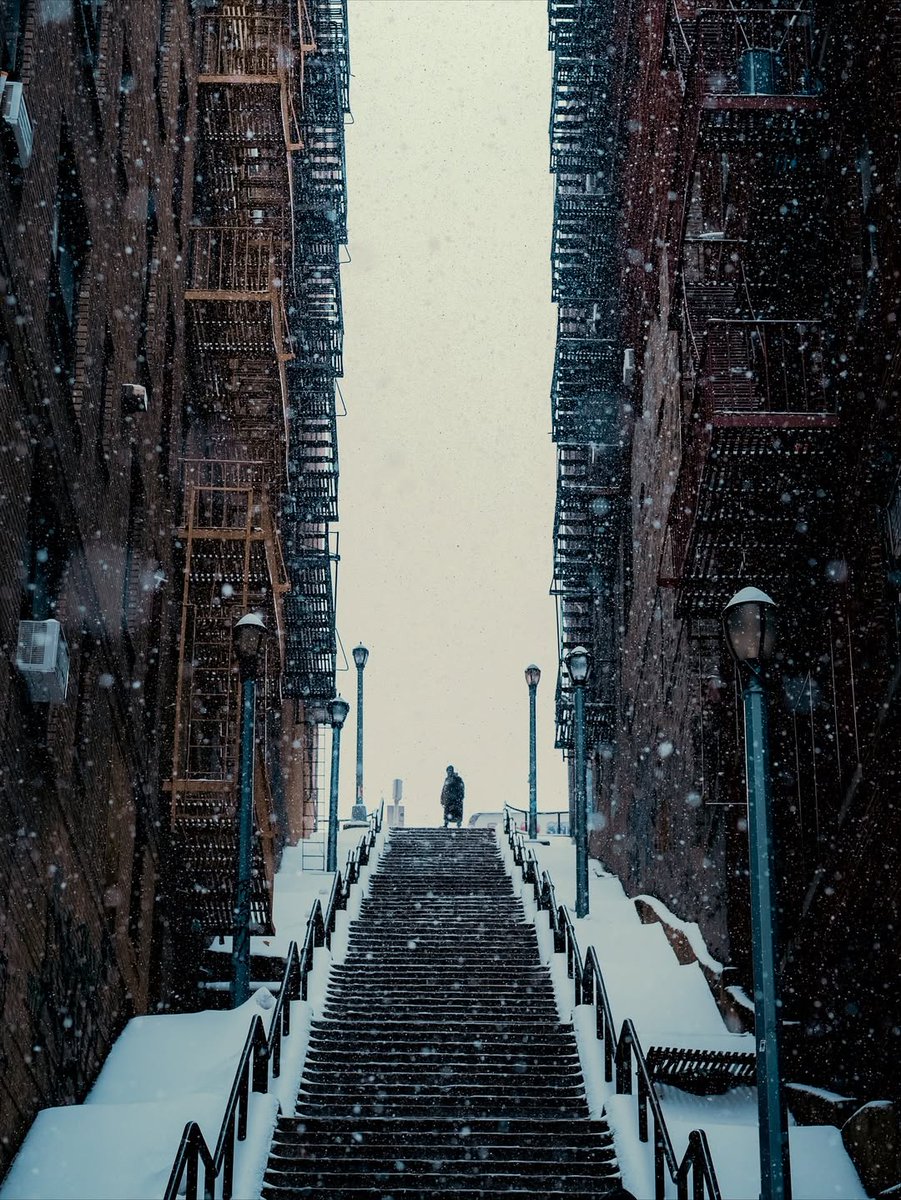 𝘄𝗮𝗻𝗱𝗲𝗿𝘁𝗿𝗮𝘃𝗲𝗹𝘀 tweet media