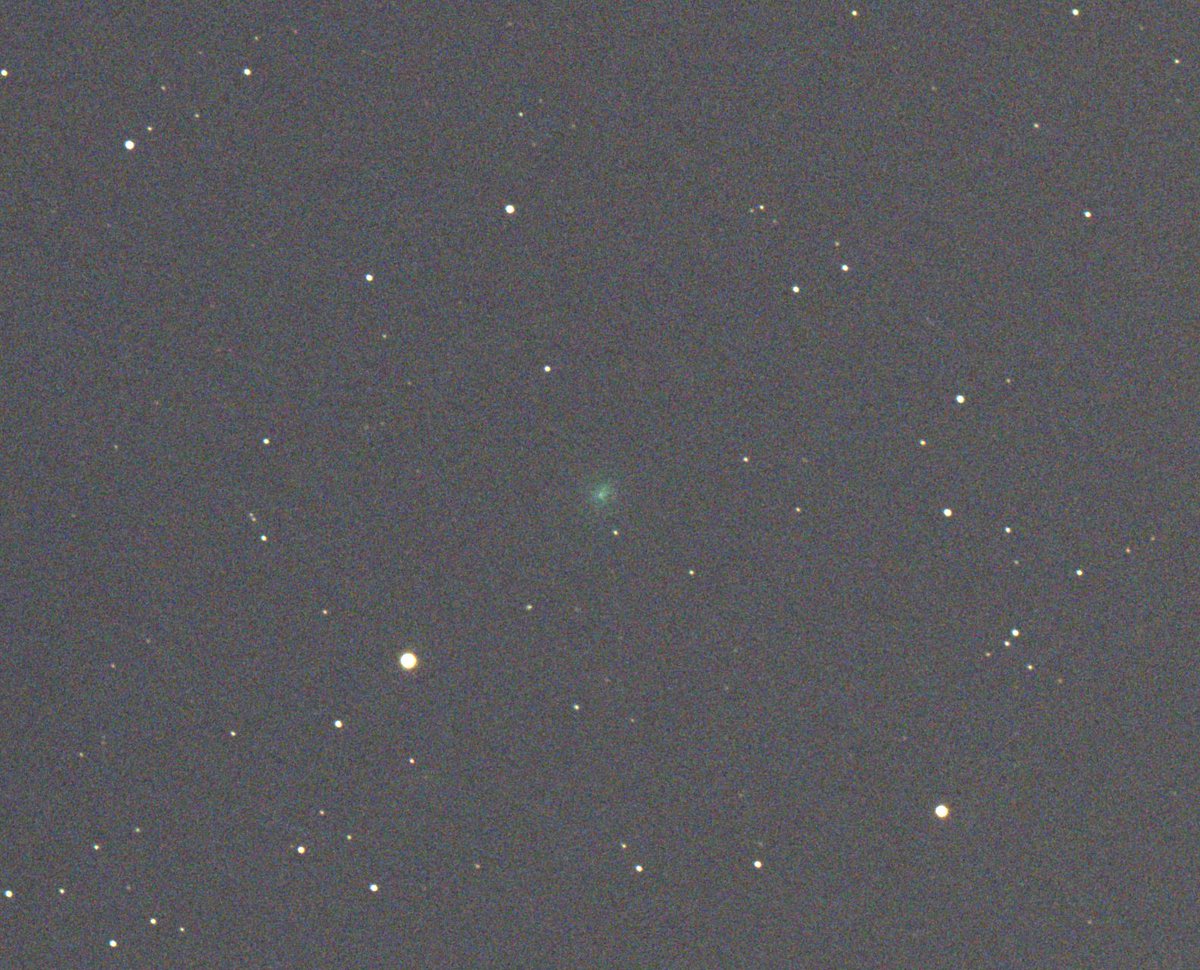 SatPhoto's tweet photo. 昨日三重県で撮影したMAPS彗星(C/2026 A1)(のつもり)です。グラビティさんでお借りした望遠鏡SkyRover86MAを初めて使うターゲットが彗星という、普通やめとけ、と思いますが、プレートソルブも機能しない中、適当にフレーミングしたらなんとか写りました。#COMET #C/2026A1 #MAPS #SkyRover #86MA https://t.co/a7TADF5mSi