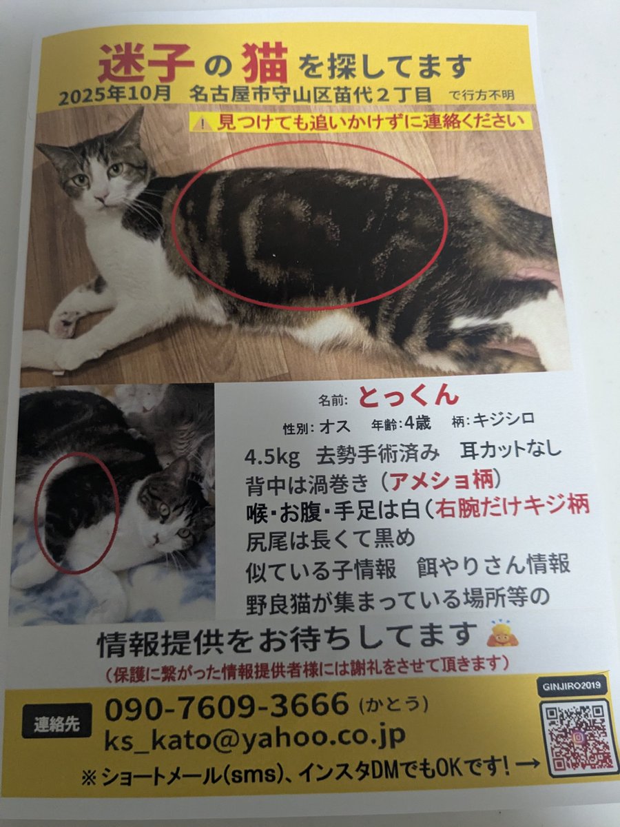 前回沢山の方に🙇‍♀
#拡散希望RP協力お願いします 
チラシの内容が少し変わっています

諦めきれない
一生懸命探しています
よろしくお願いします🙇‍♀