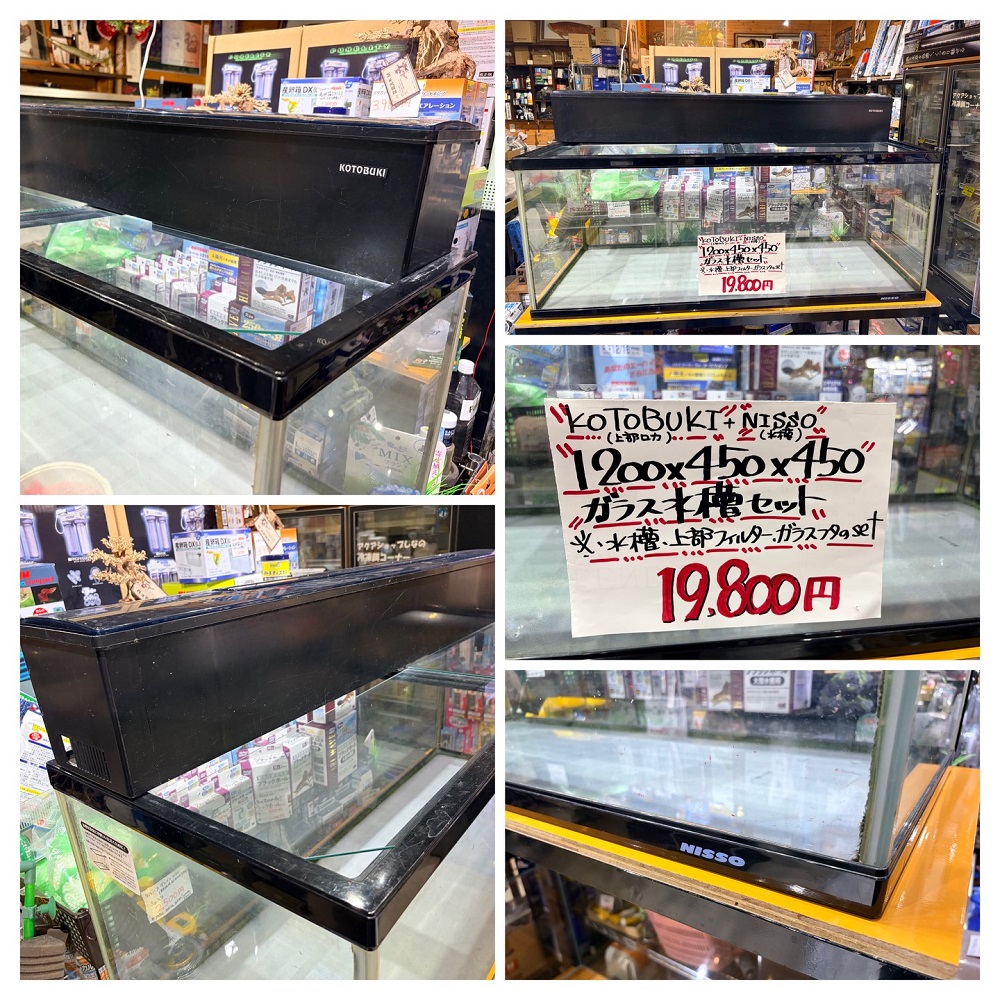 中古水槽セット】1200×450×450・ガラス水槽セット→19,800円 NISSO製 中古水槽セット】1200×450×450・ガラス水槽セット→19,800円 NISSO製