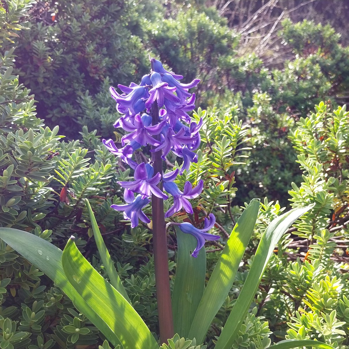 Compton Care tweet media