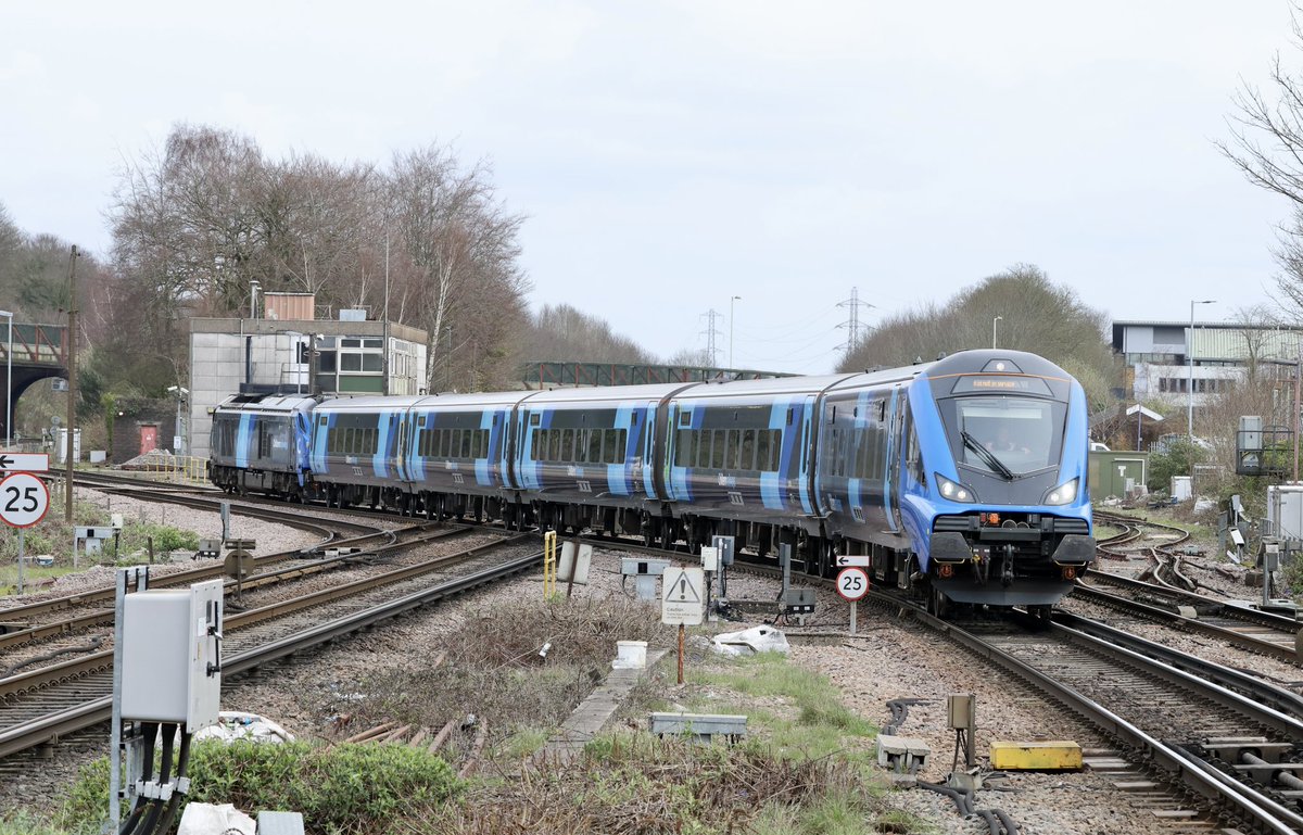 RegalEagle tweet media