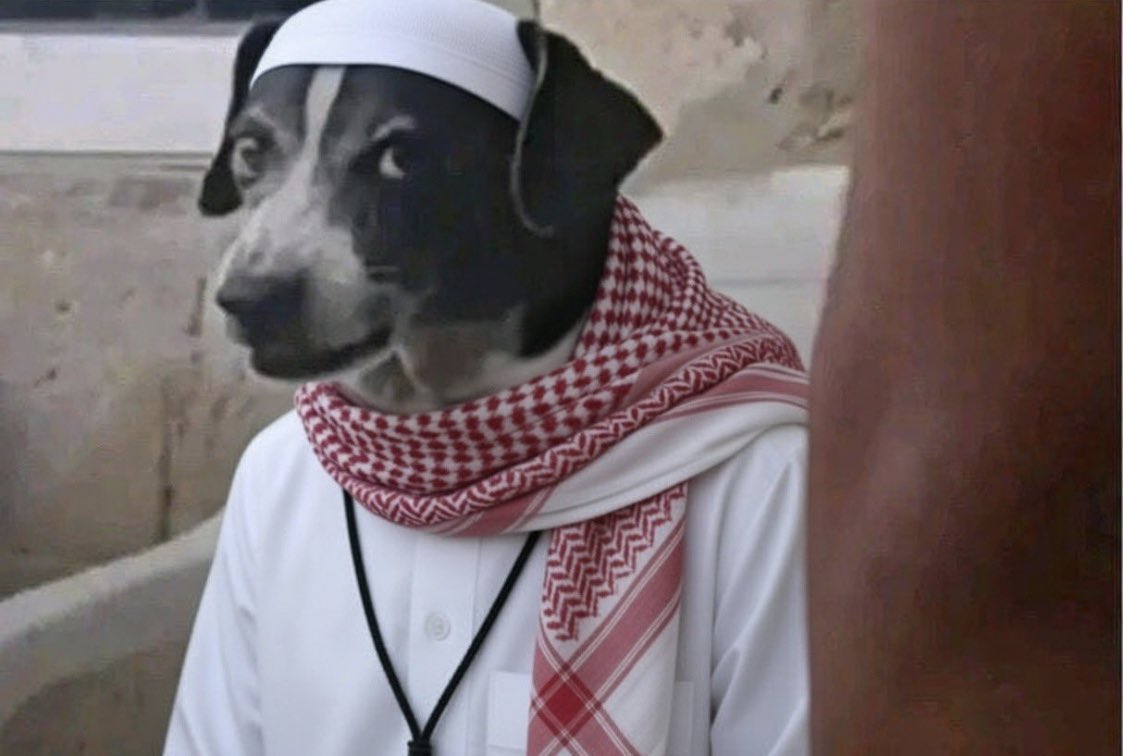 Blaize ™ tweet media