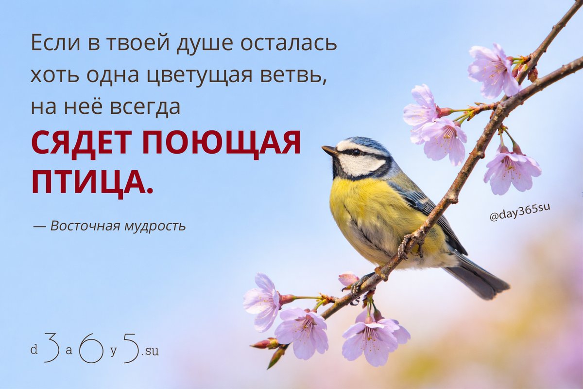 Даже маленькая искра жизни в душе притягивает радость и вдохновение.

Стоит сохранить в себе хоть немного света - и мир откликнется на него.

<a href="/day365su/">365 дней мотиваций</a>
#цитатокартинки
