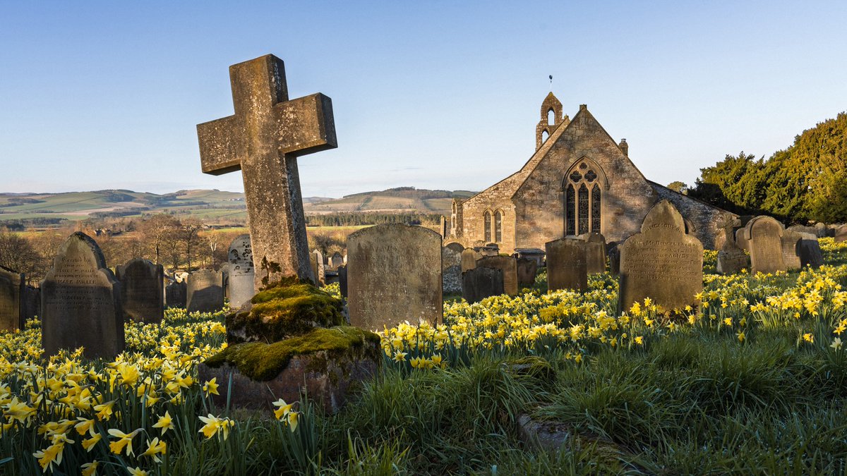 Jim Scott tweet media