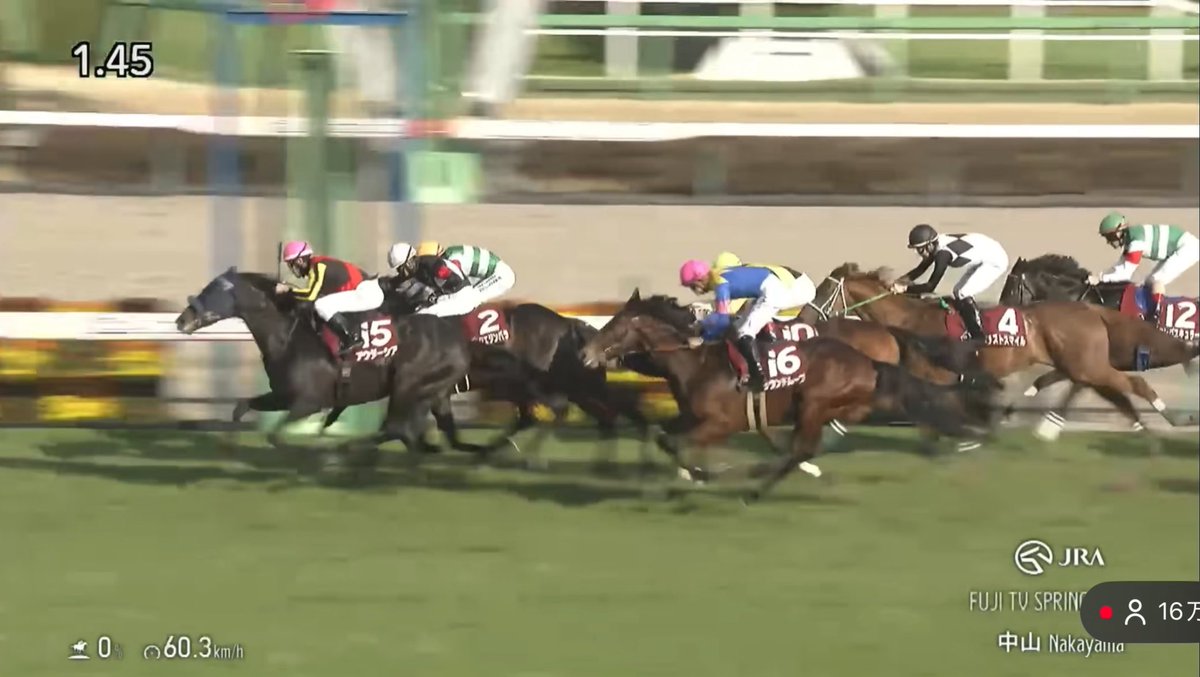 ブレイク🐴馬主〖YouTuber〗 tweet media