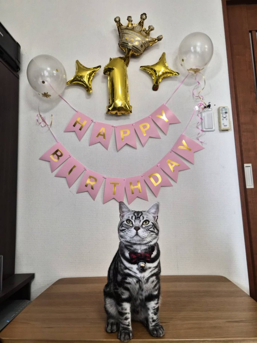 ちくわぶ tweet media