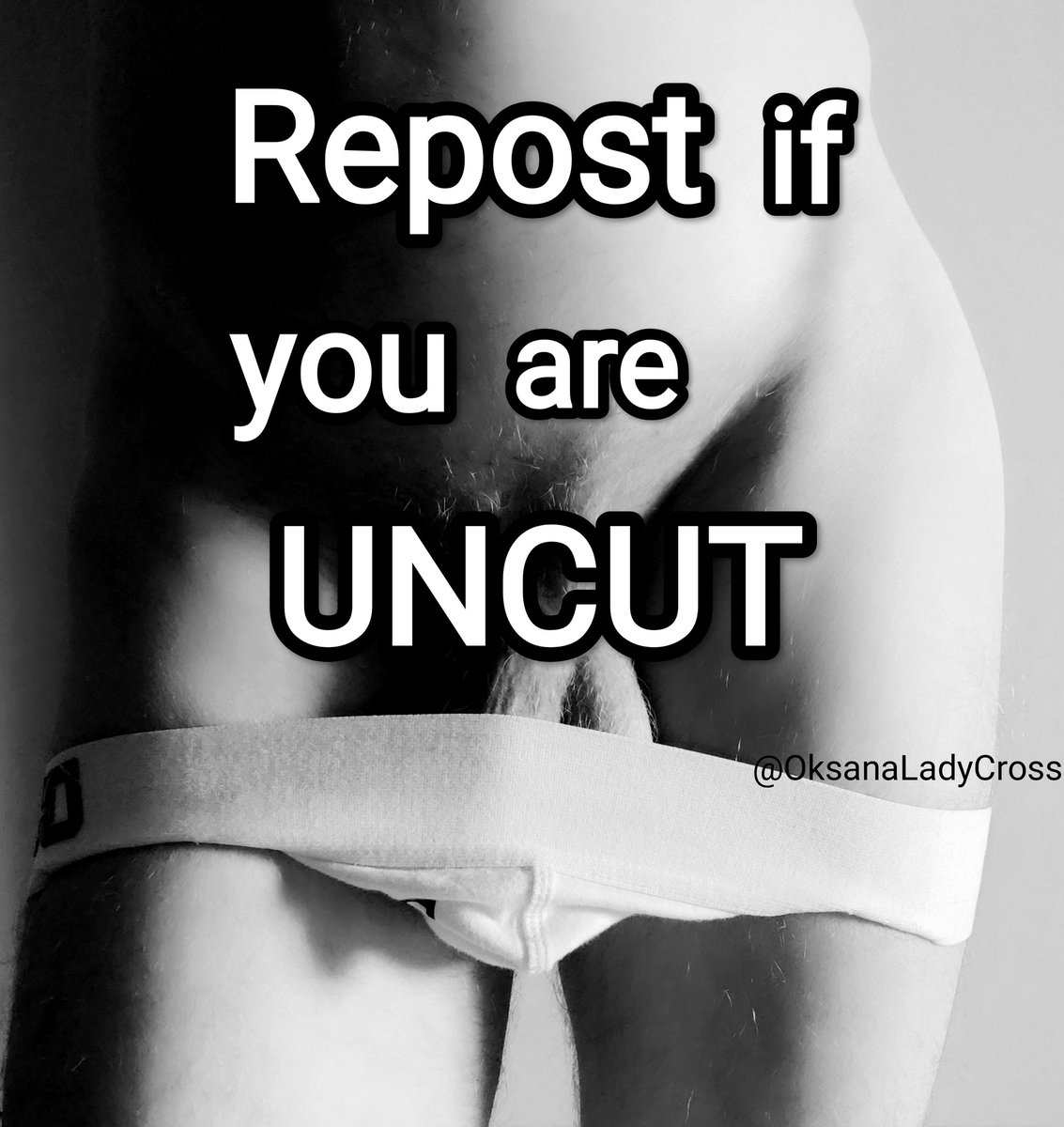 LADY CROSS tweet media