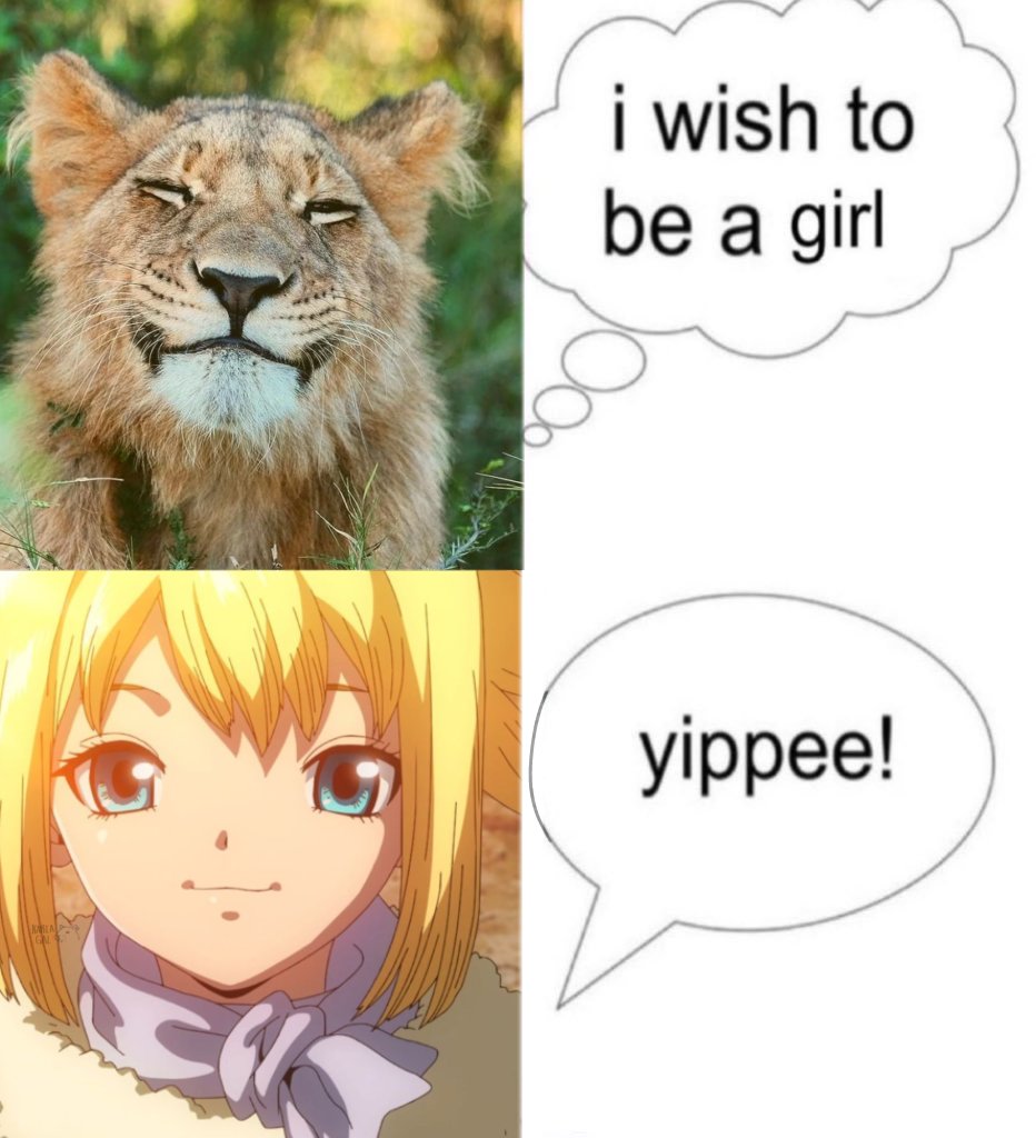 Karla Gal 🧪🛡️/ 🦁🃏 tweet media