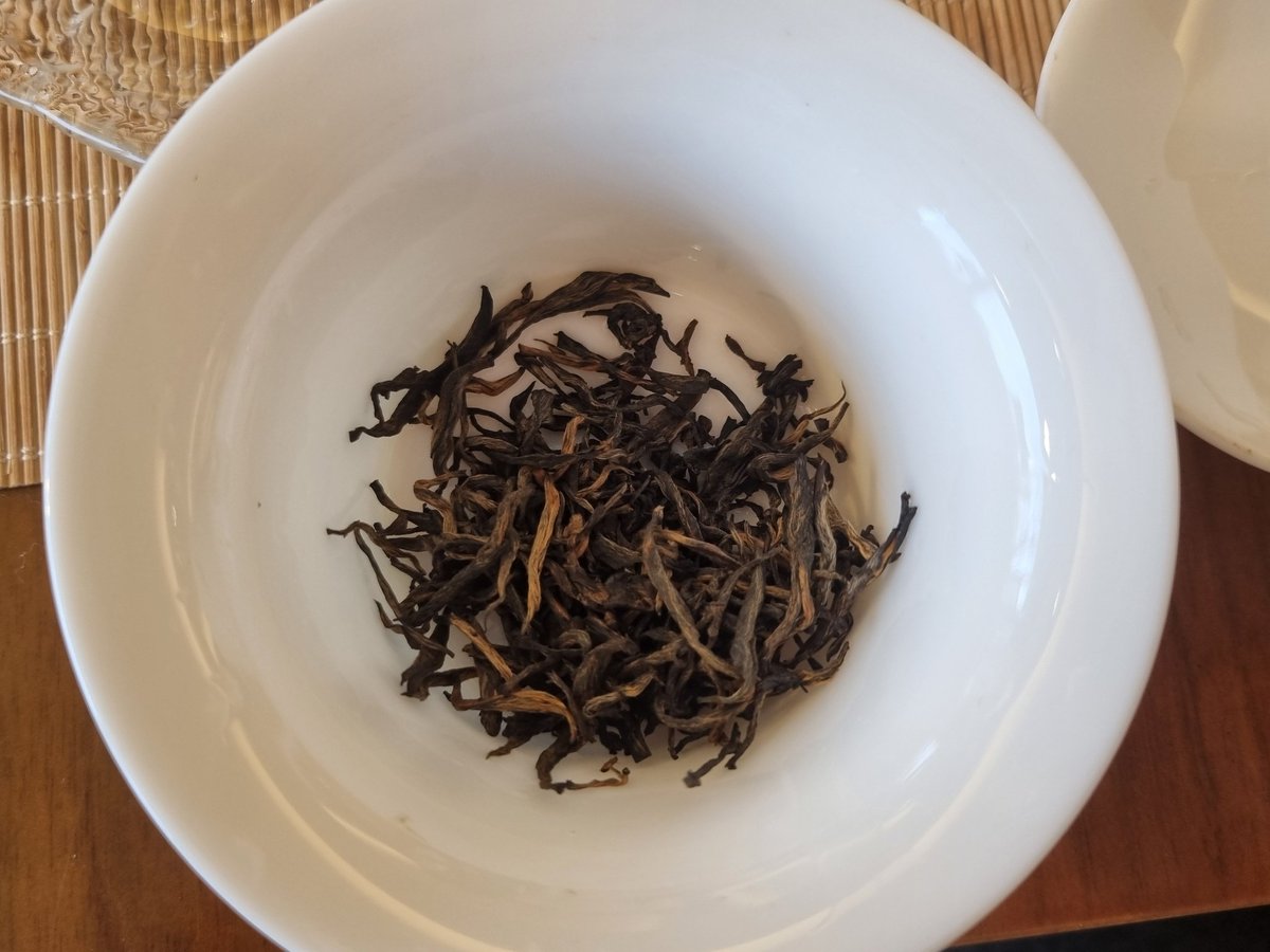 향목민 tweet media