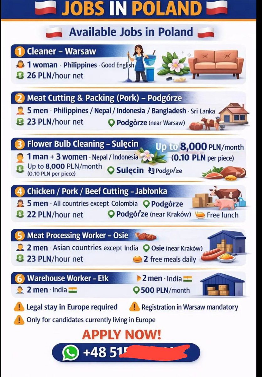 Polish Connection tweet media