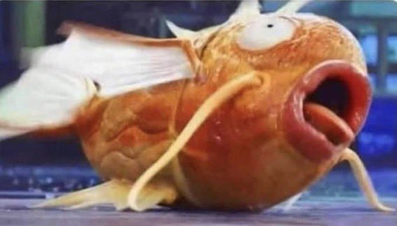 Angel🎀 tweet media