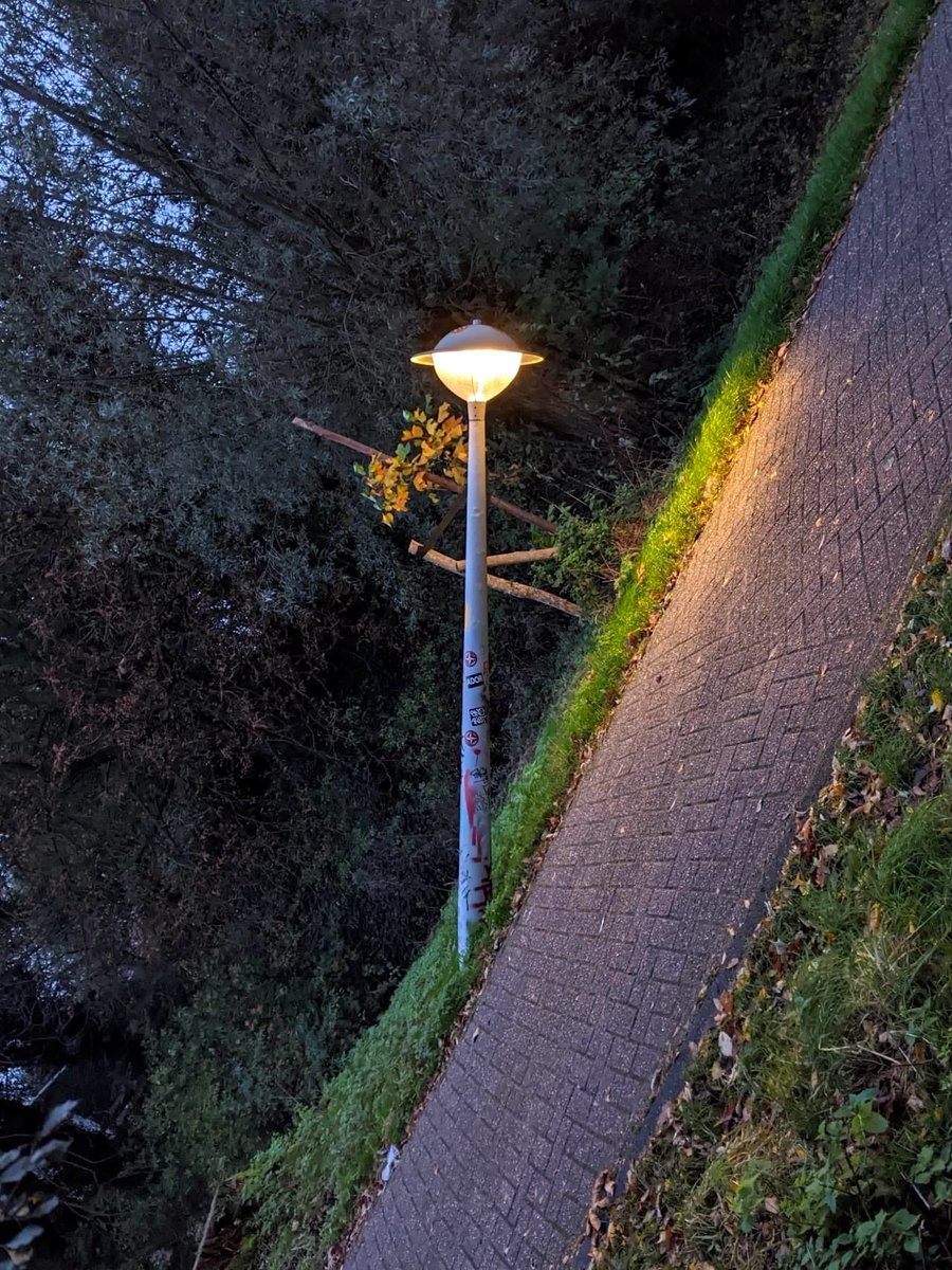 untitled folder tweet media