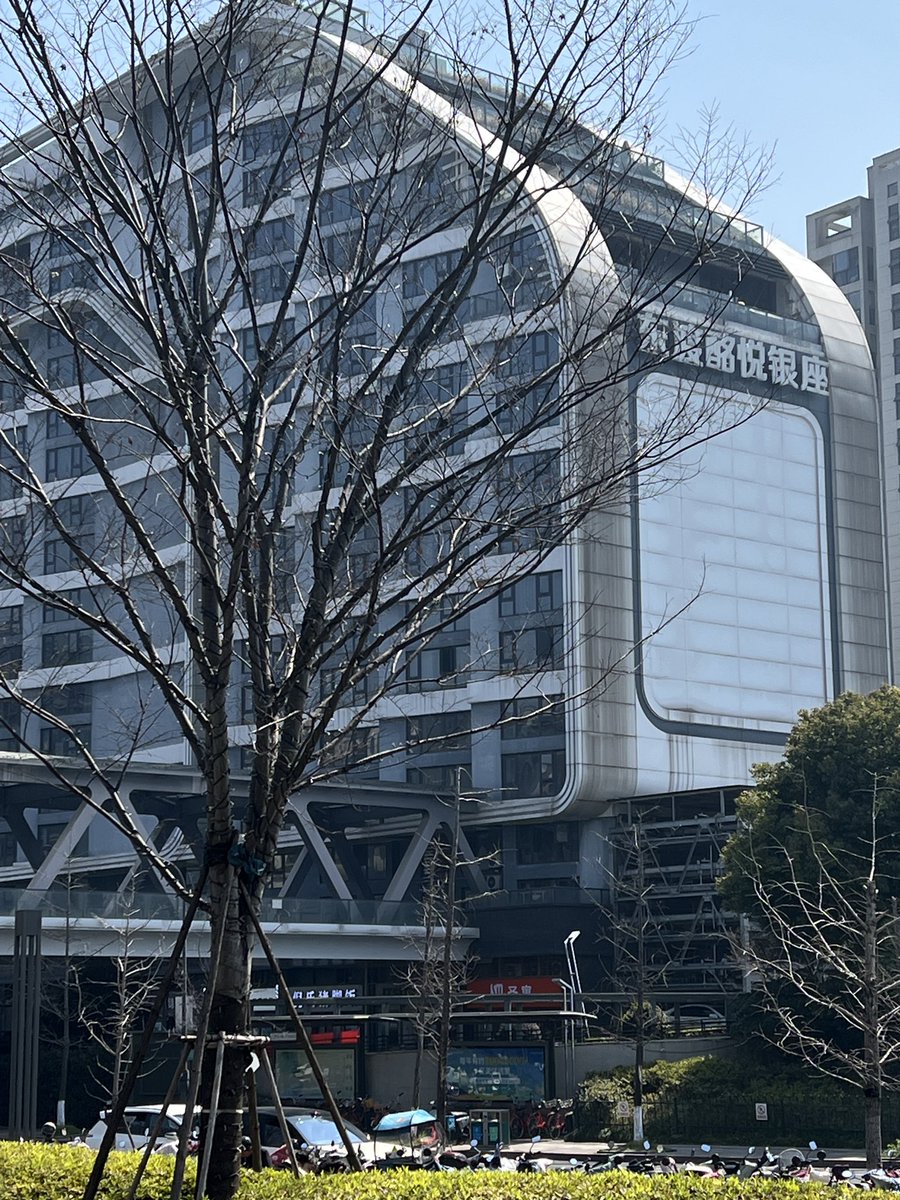 兰洋（成都） tweet media