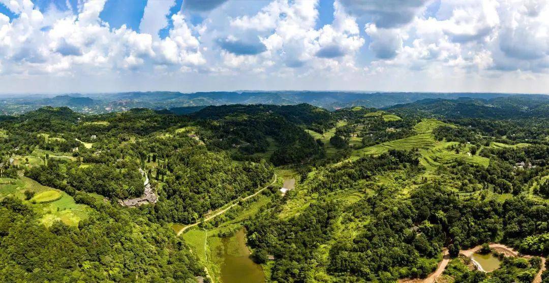 Investment advisor tweet media