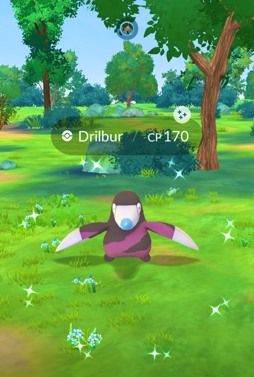 SmileThippy's tweet photo. 𐔌ᵔ ܸˊᵕˋ ᵔ 𐦯 ᐝ ᵀᴴᴬᴺᴷ ᵞᴼᵁ ◡̈*  🎁 
#ShinyDrilbur
#PokemonGO🫶🏻🧢 https://t.co/arfGBgaJra