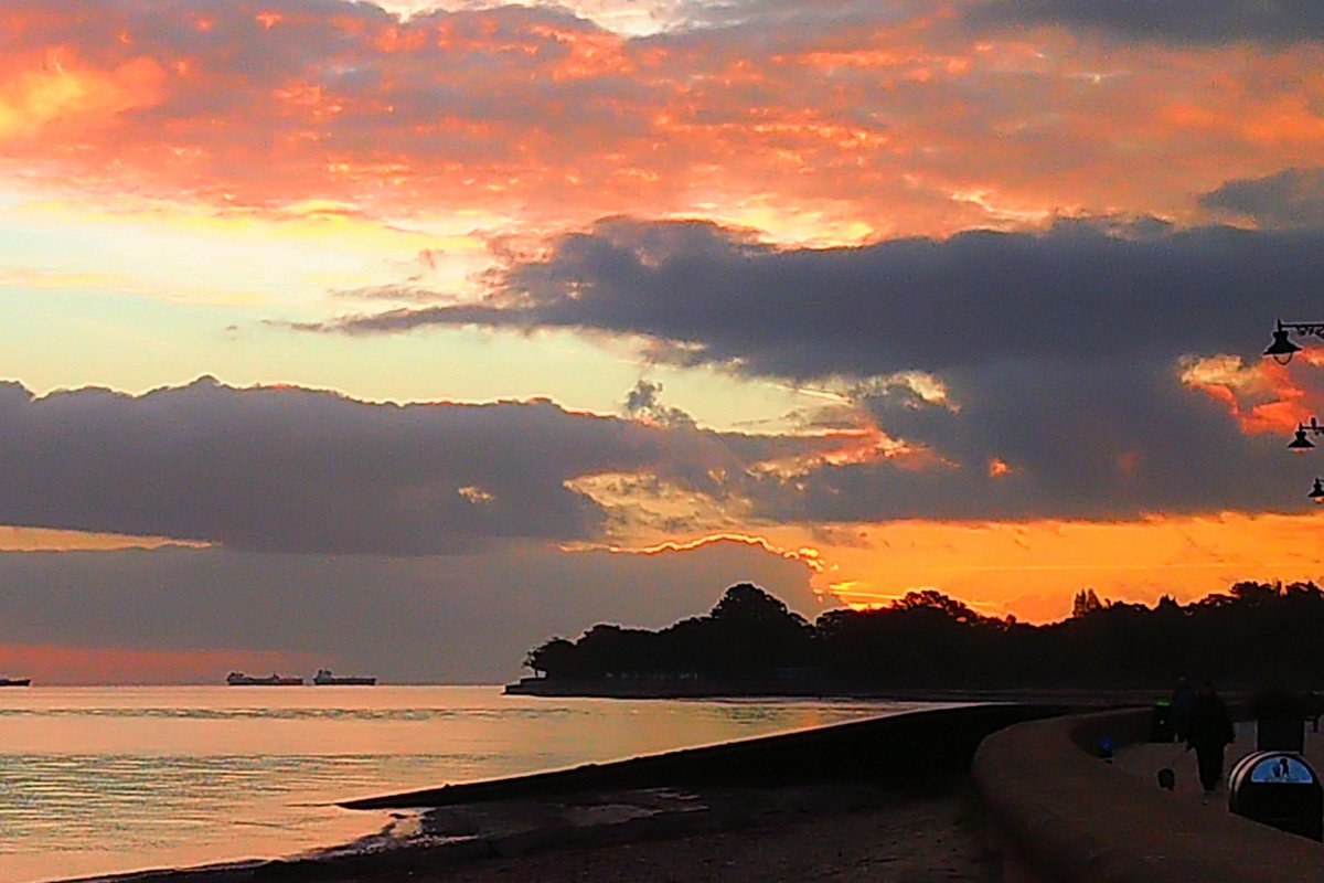 Wayne Whittle tweet media