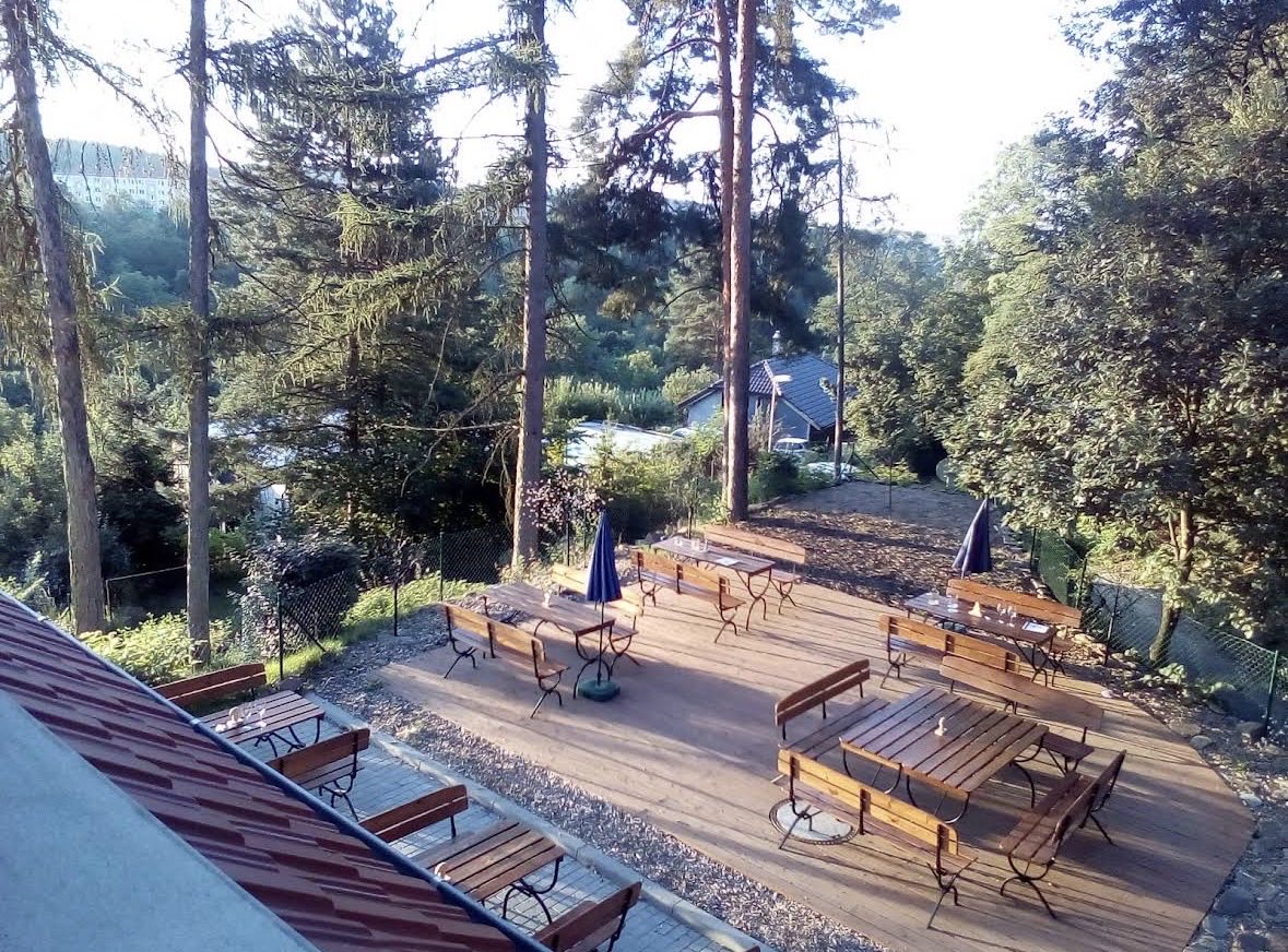 MIID🕊 tweet media