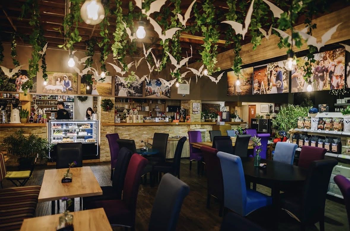 MIID🕊 tweet media