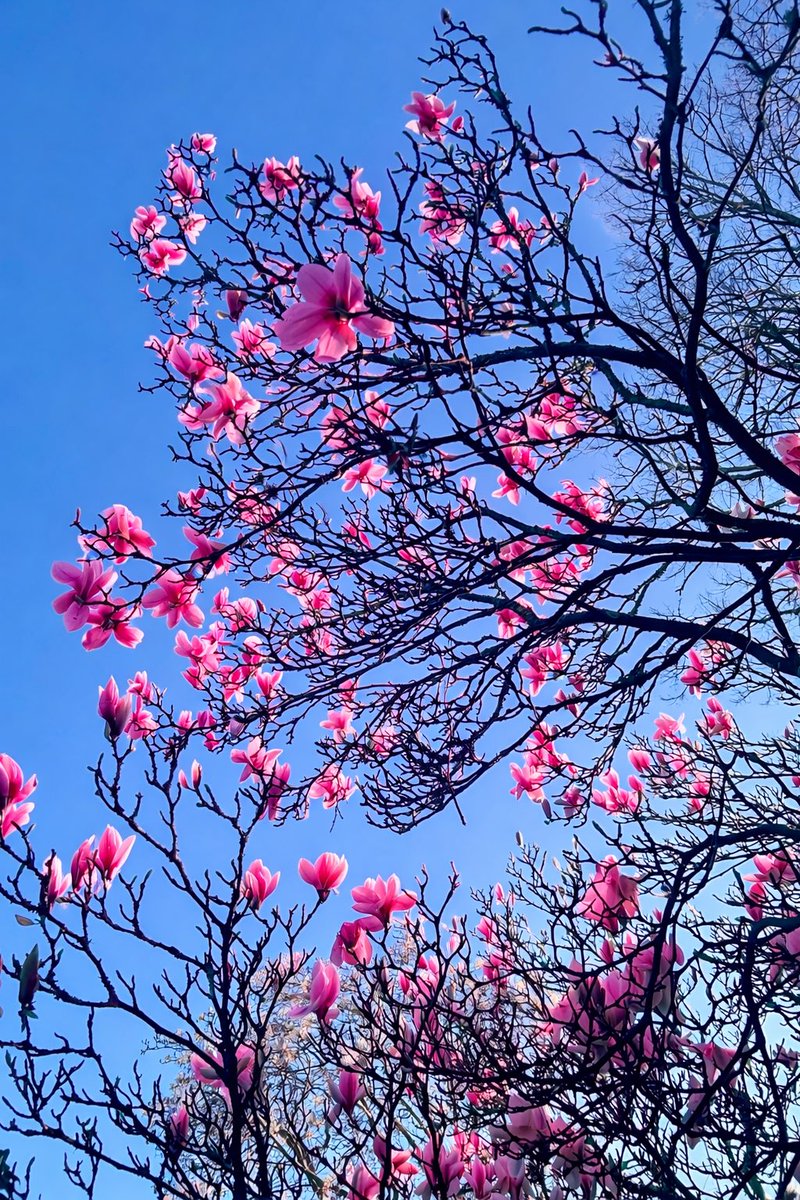 Alcohol Free tweet media