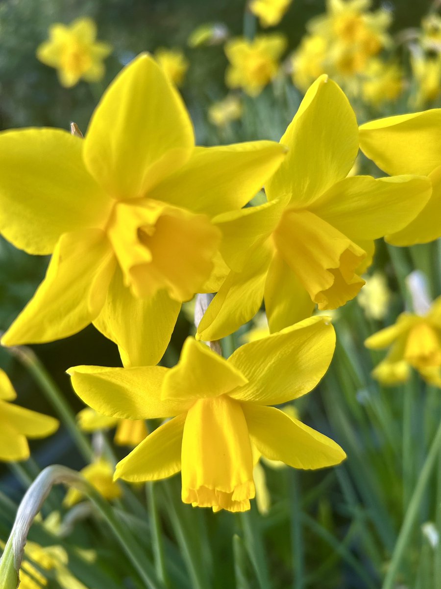 Alcohol Free tweet media