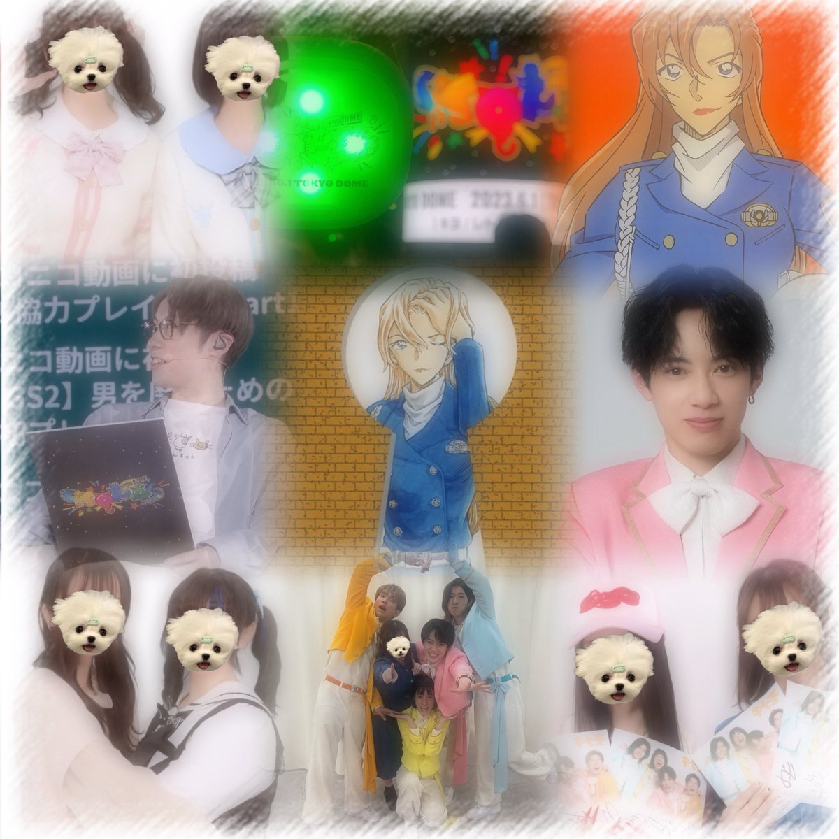 🏷️垢です tweet media