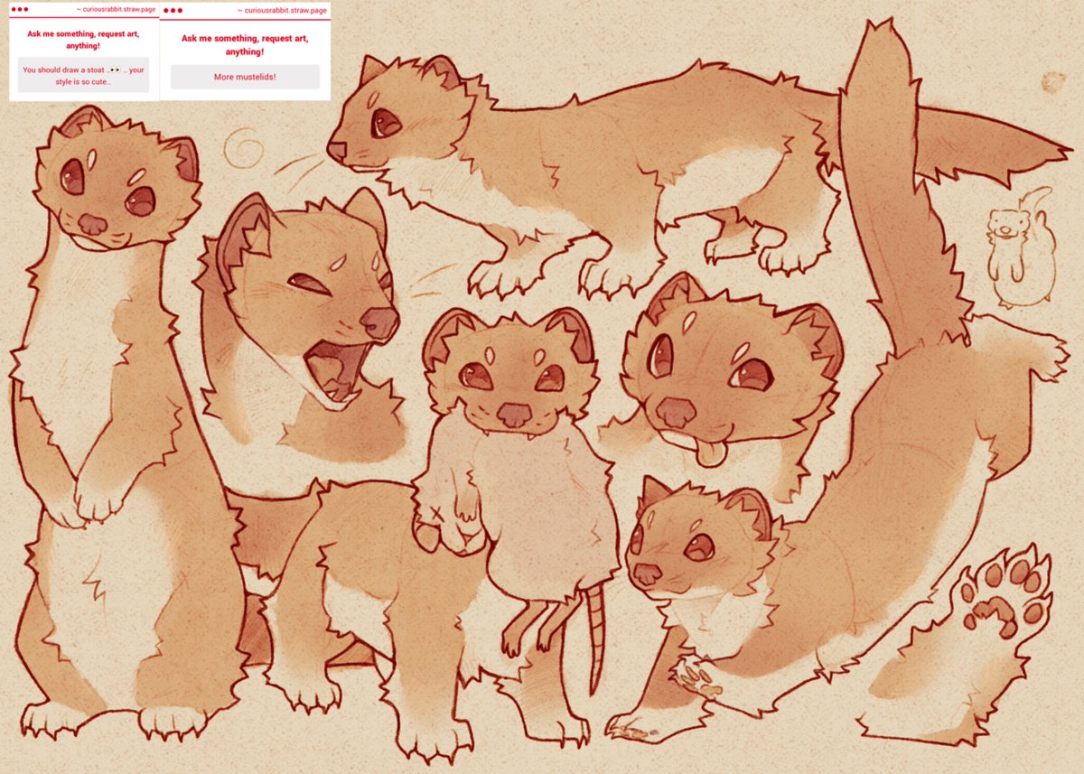 cranky TJ tweet media