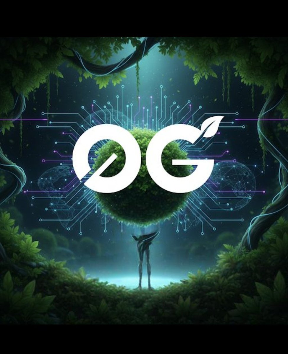 Basato 01 🛡️ tweet media