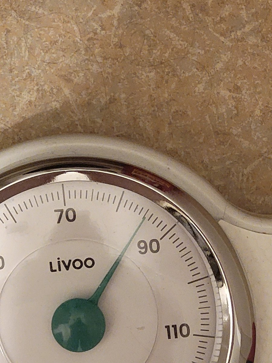 Loriane_sh's tweet photo. Holy shit i finally at 85kg after a month of being at 86 https://t.co/D2JOTzm0Hw