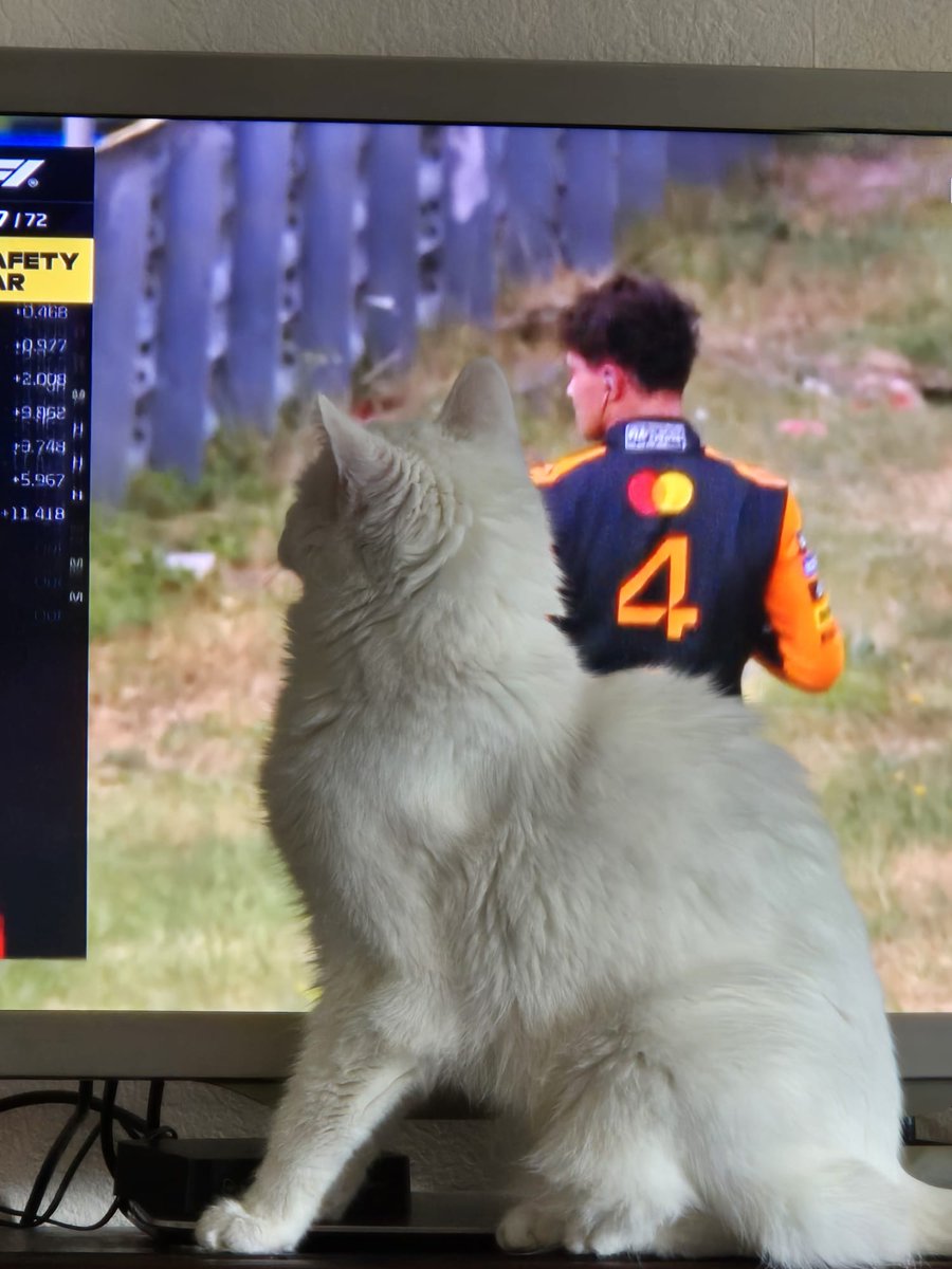 🐶🐱𝕮𝖍𝖗𝖎𝖘𝖙𝖍𝖊𝖑 🦋 tweet media