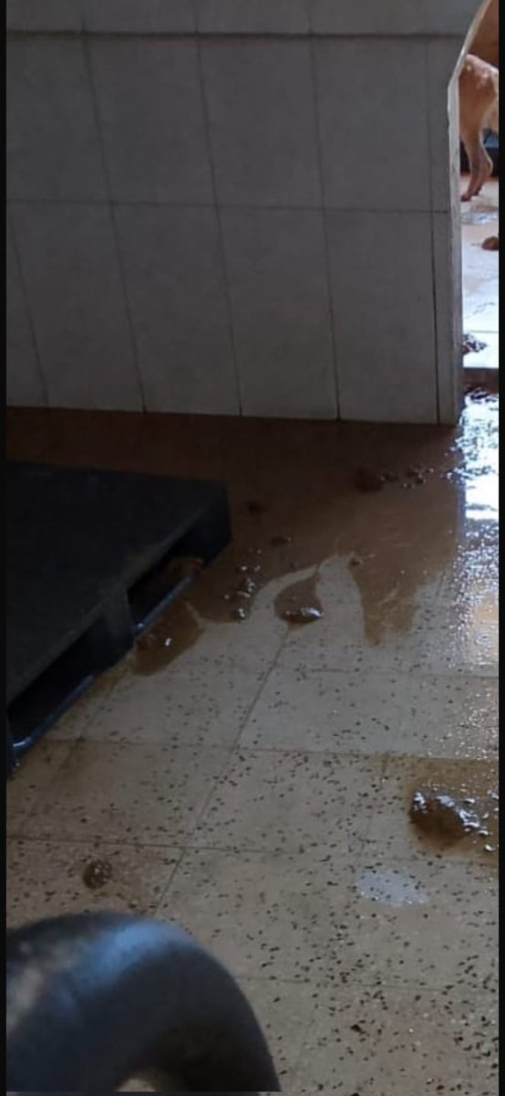 JointVoice tweet media