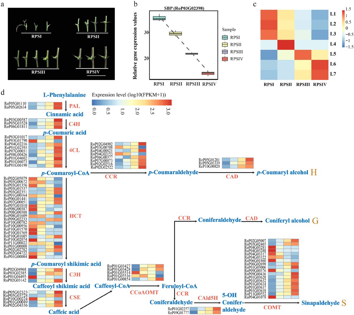 Forestry Research tweet media