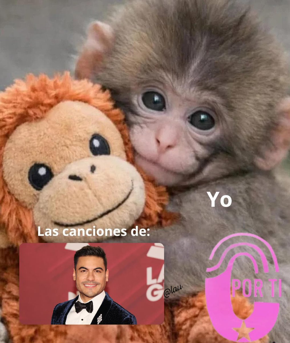 Laura De La Rosa ❤️‍🩹Por ti Laguna✨🌹 tweet media