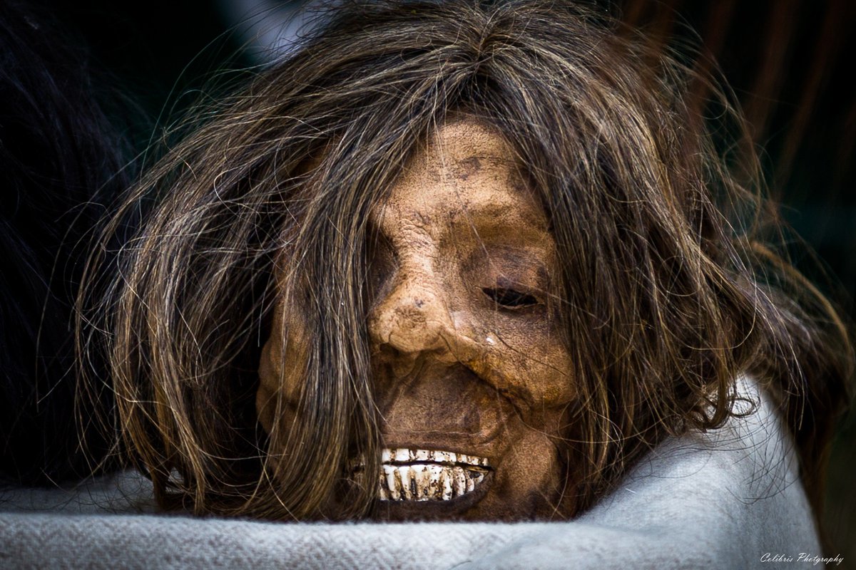 Cian Morvan tweet media