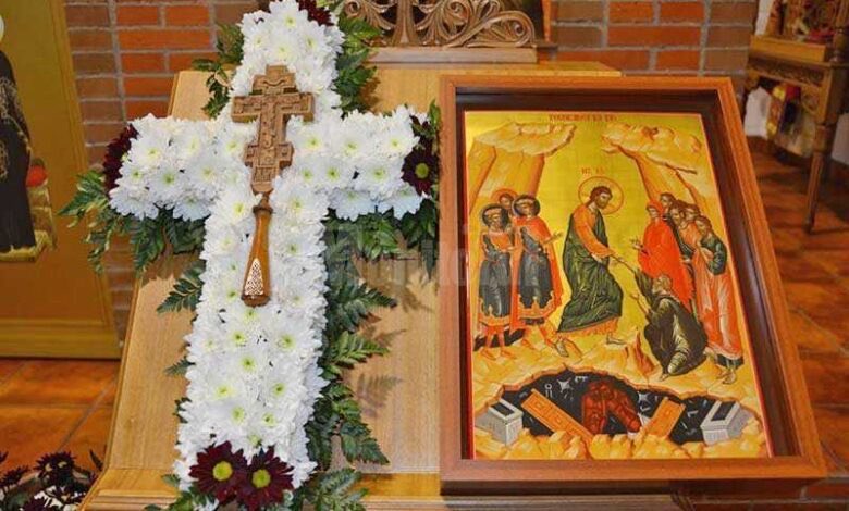 Eugen Orlando TEODOROVICI tweet media