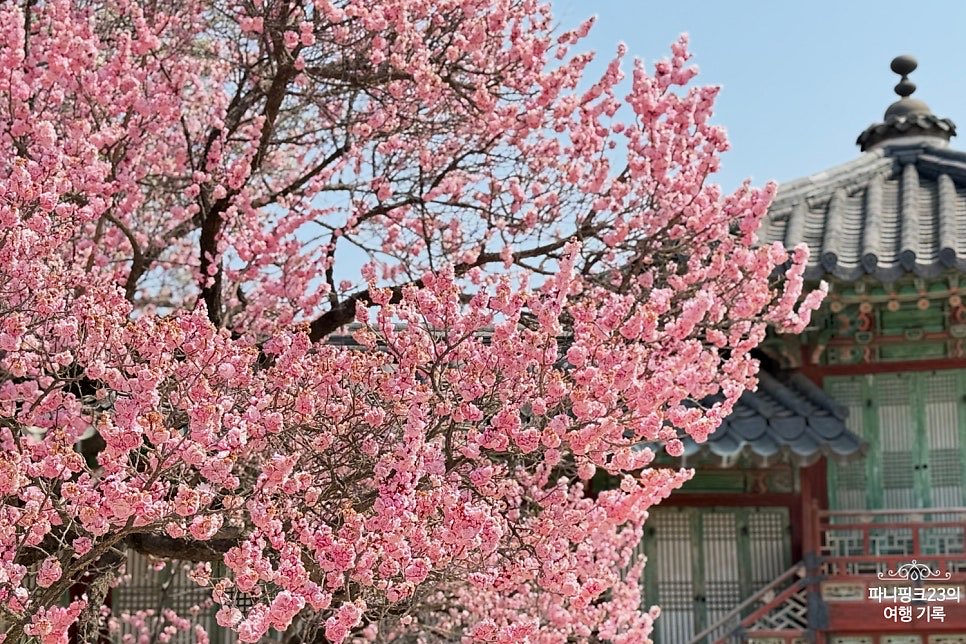 파니핑크23 tweet media