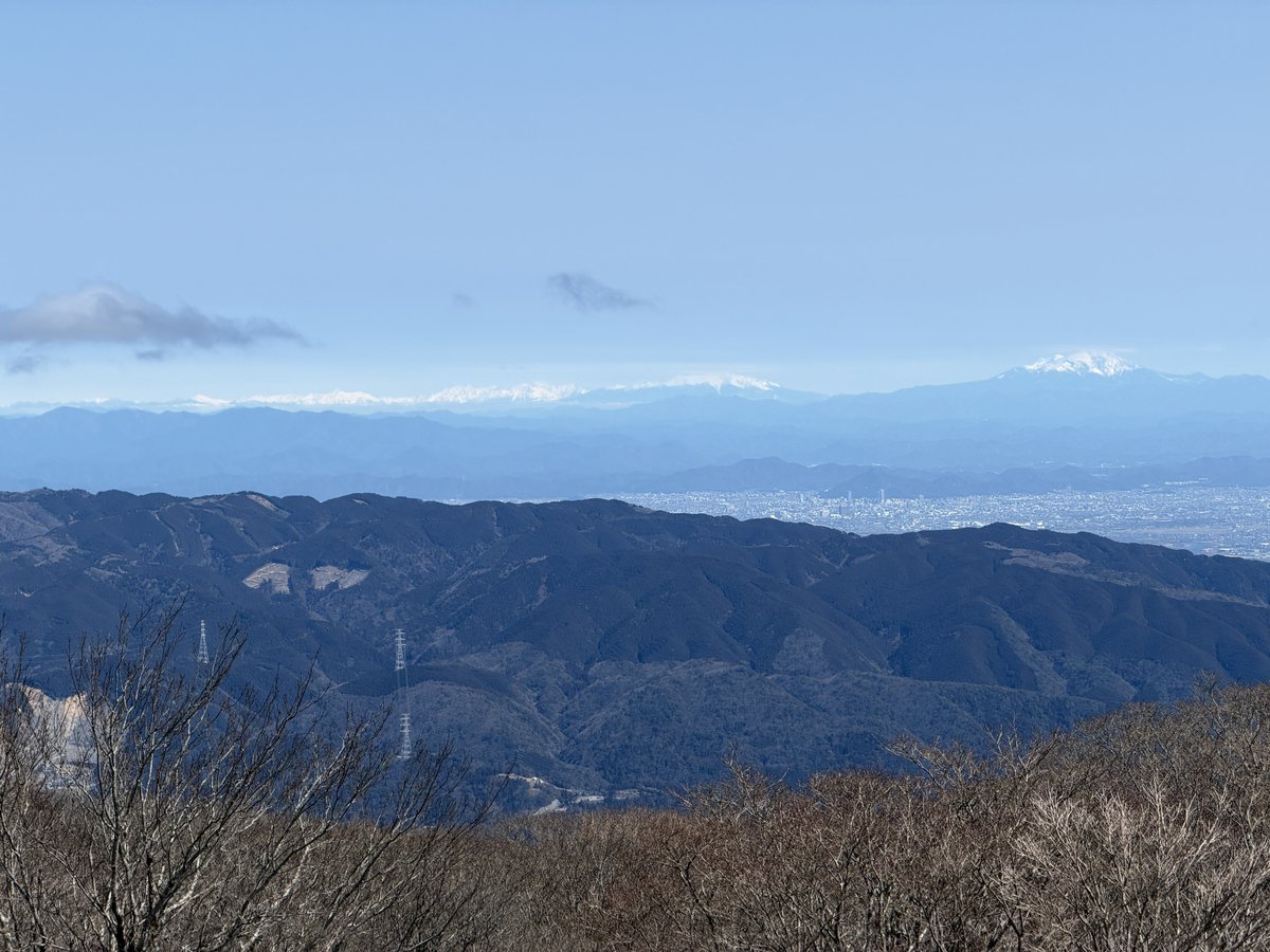 こんぺい tweet media