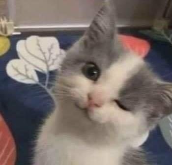 andrea ✨ (@tommo28hest) on Twitter photo 