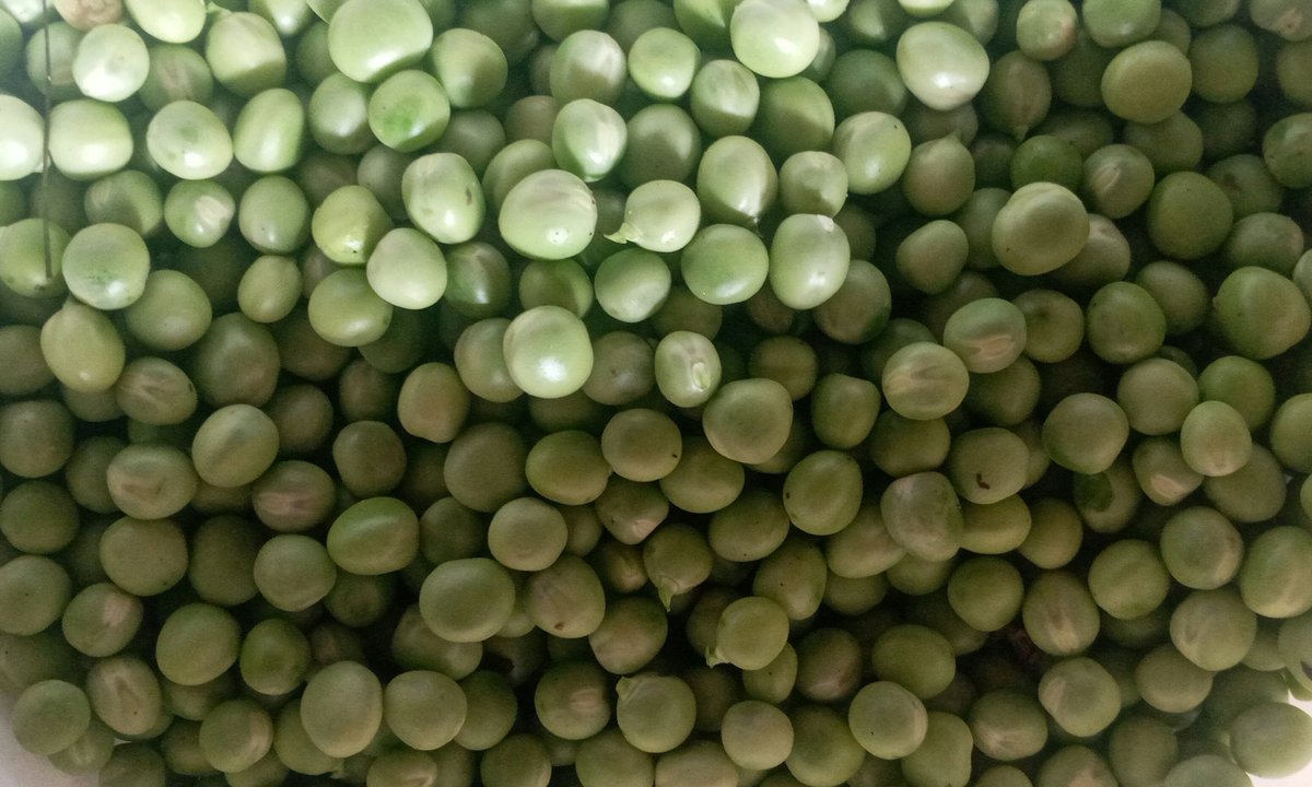 Tupo tayari kukuhudumia
1kg njegere=7000
1kg vitunguu=2200
1kg Nyanya = 3000
Order,pay,receive.