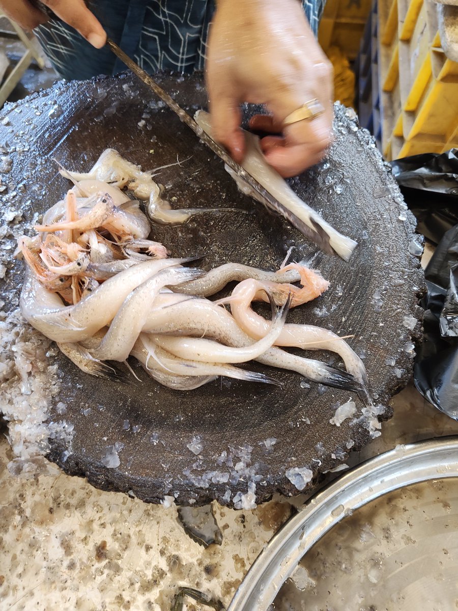 Alekh A A A tweet media