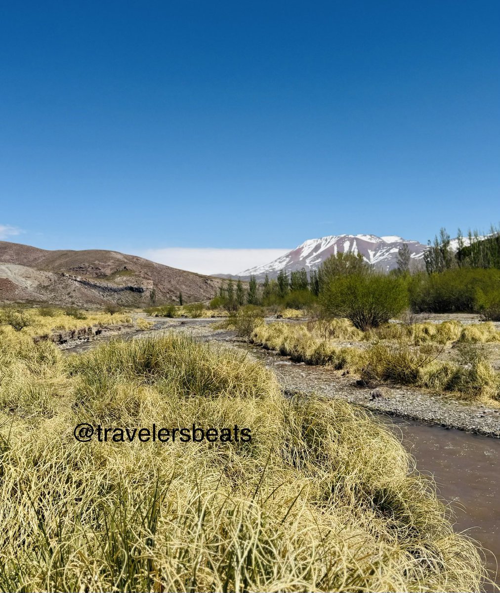 Paisajeando  🚶🏻‍♀️🤳🏻
Mendoza siempre nos invita a vivir desde lo esencial. Acá se apagan todos los ruidos innecesarios 
#felizdomingo