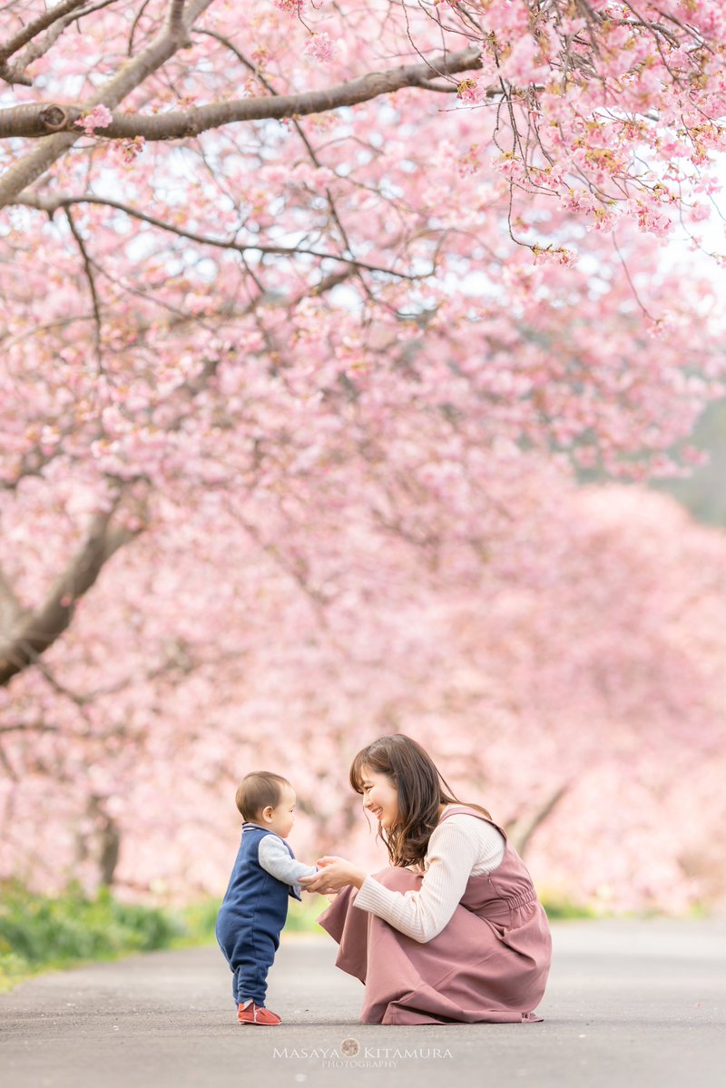パパが撮り続けている妻と息子の尊い物語。

6歳の息子と、9ヶ月の頃の息子。